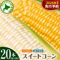 【ふるさと納税】【先行受付】【2026年7月下旬～8月中旬頃配送】北海道十勝芽室町 とうもろこし イエロー種10本 ホワイト種10本 me002-016c-26