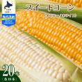 【ふるさと納税】【先行予約】【2025年産】北海道十勝芽室町 とうもろこし イエロー種10本 ホワイト種10本 me002-016c-25