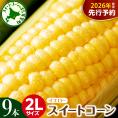 【ふるさと納税】【先行受付】【2026年7月下旬～8月中旬頃配送】北海道十勝芽室町 とうもろこし 2L 9本入り me002-021c-26