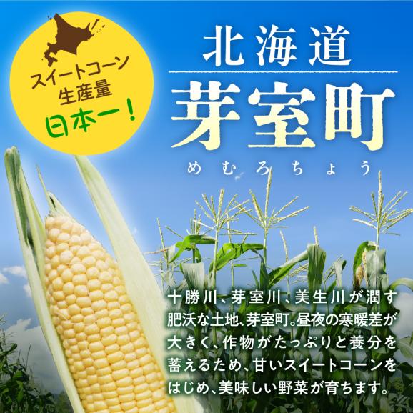 【ふるさと納税】【先行予約】【2025年産】北海道十勝芽室町 とうもろこし 2L 9本入り me002-021c-2503