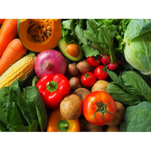 【2026年8月より発送】北海道十勝芽室町 なまら十勝野の季節のおまかせ野菜セット(夏) me001-009c03