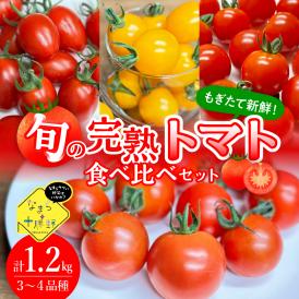 【ふるさと納税】北海道十勝芽室町 なまら十勝野の旬の完熟トマトを3～4品種詰め合わせた食べ比べセット me001-013c