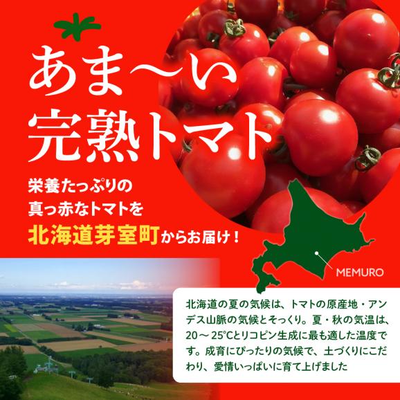 【ふるさと納税】北海道十勝芽室町 なまら十勝野の旬の完熟トマトを3～4品種詰め合わせた食べ比べセット me001-013c02