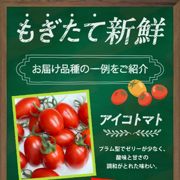 【ふるさと納税】北海道十勝芽室町 なまら十勝野の旬の完熟トマトを3～4品種詰め合わせた食べ比べセット me001-013c04