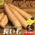 【ふるさと納税】【12月中旬以降発送】北海道十勝芽室町 なまら十勝野の長いも ５kg me001-010c