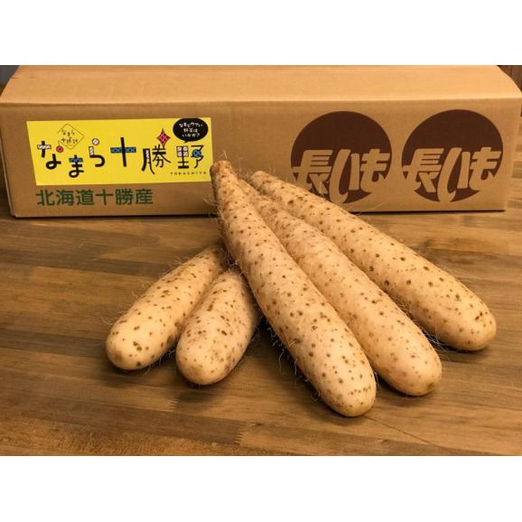【ふるさと納税】【12月中旬以降発送】北海道十勝芽室町 なまら十勝野の長いも ５kg me001-010c03