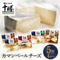 【ふるさと納税】明治北海道十勝チーズ カマンベール4種5個セット me003-068c