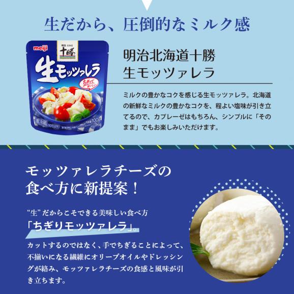 【ふるさと納税】【隔月3回コース定期便】明治北海道十勝チーズ 生モッツァレラ６個 セット 計3回 me003-070-k3c04