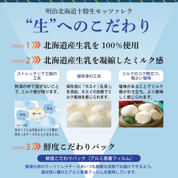 【ふるさと納税】【6ヵ月定期便】明治北海道十勝チーズ 生モッツァレラ６個 セット 計6回 me003-070-t6c03