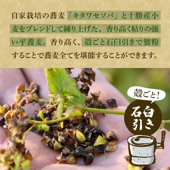 【ふるさと納税】北海道十勝芽室町 BITO LABOとかち豊穣（ほうじょう）そば　200g x6 me004-002c03