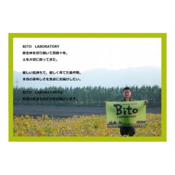 【ふるさと納税】北海道十勝芽室町 BITO LABOとかち豊穣（ほうじょう）そば　200g x6 me004-002c04