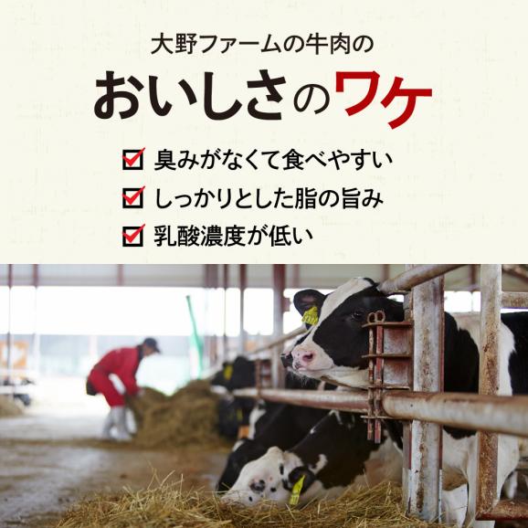 【ふるさと納税】北海道十勝芽室町 牛肉100％使用！COWCOWハンバーグ 160g×7個 me007-004c04