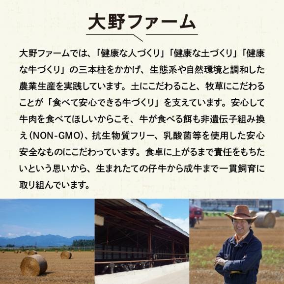 【ふるさと納税】北海道十勝芽室町 牛肉100％使用！COWCOWハンバーグ 160g×7個 me007-004c05