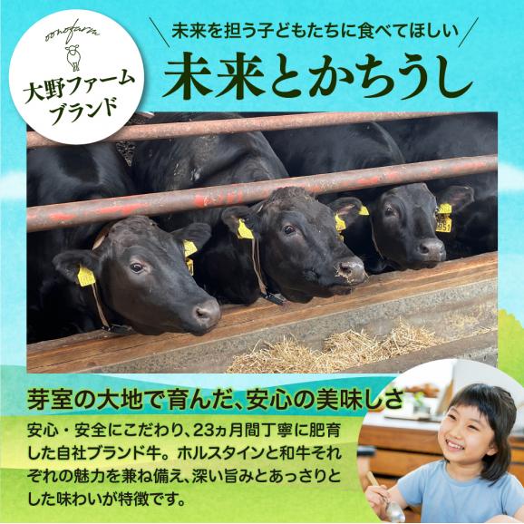 【ふるさと納税】北海道十勝芽室町 カウ・カウビーフシチュー 3個セット 未来とかち牛100％使用 me007-007c02