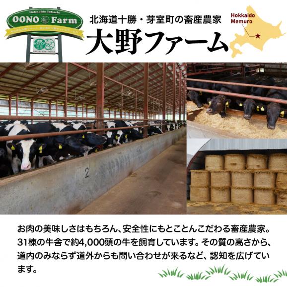 【ふるさと納税】北海道十勝芽室町 カウ・カウビーフシチュー 3個セット 未来とかち牛100％使用 me007-007c03