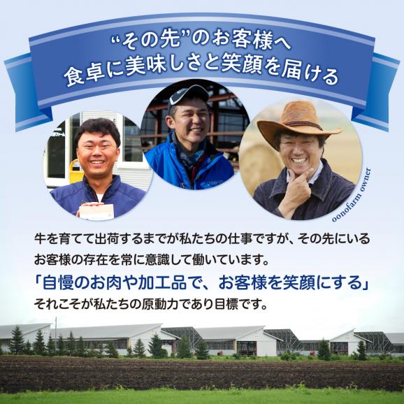 【ふるさと納税】北海道十勝芽室町 カウ・カウビーフシチュー 3個セット 未来とかち牛100％使用 me007-007c05