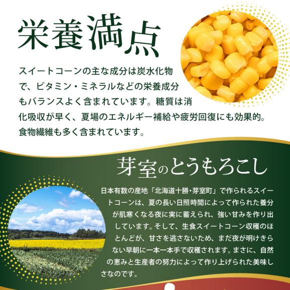 【ふるさと納税】北海道十勝芽室町 レンジで簡単！十勝 芽室 コーン 炒飯　200g×6個セット　me026-010c04
