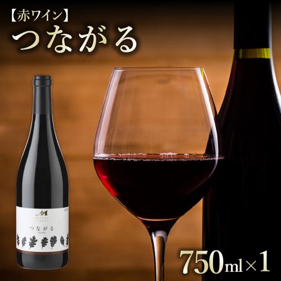 【ふるさと納税】北海道十勝芽室町 つながる 750ml×1本 me032-041c01