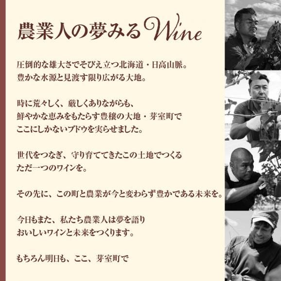 【ふるさと納税】北海道十勝芽室町 赤ワイン：LEGAME　750ml×1本(箱入)　 me032-041c05