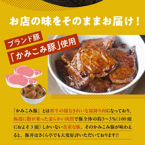 【ふるさと納税】北海道十勝芽室町 十勝名物 豚丼 3食セット タレ付き me042-004c03