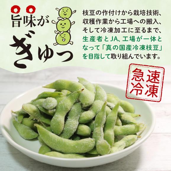【ふるさと納税】北海道十勝芽室町 業務用えだまめ 10袋 me003-098c02
