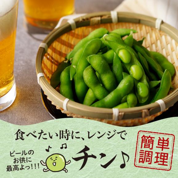 【ふるさと納税】北海道十勝芽室町 業務用えだまめ 10袋 me003-098c03
