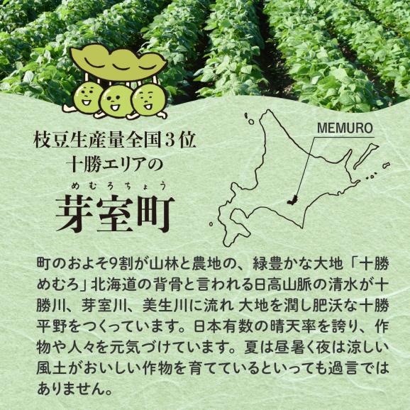 【ふるさと納税】北海道十勝芽室町 業務用えだまめ 10袋 me003-098c04