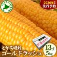 【先行受付】【2026年7月下旬～8月10日頃配送】北海道十勝芽室町　とかち晴れ　十勝めむろスイートコーン 13本入り　me010-005c-26