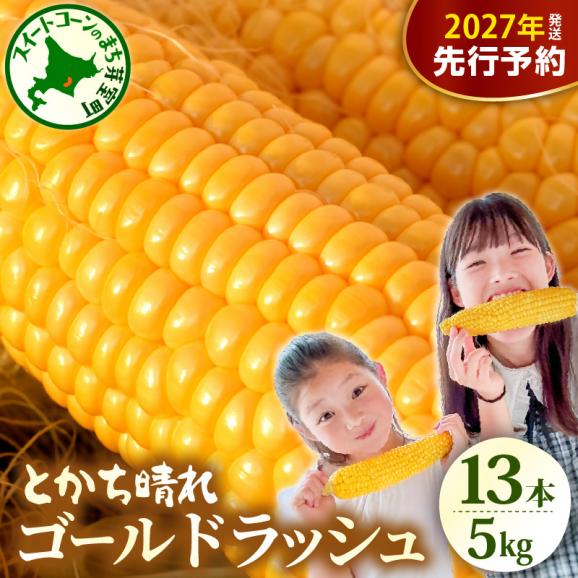 【先行受付】【2027年7月下旬～8月20日頃配送】北海道十勝芽室町　とかち晴れ　十勝めむろスイートコーン 13本入り　me010-005c-2601