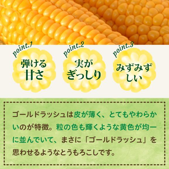 【先行受付】【2027年7月下旬～8月20日頃配送】北海道十勝芽室町　とかち晴れ　十勝めむろスイートコーン 13本入り　me010-005c-2602