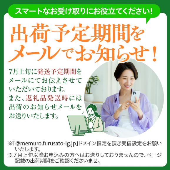 【先行受付】【2027年7月下旬～8月20日頃配送】北海道十勝芽室町　とかち晴れ　十勝めむろスイートコーン 13本入り　me010-005c-2604