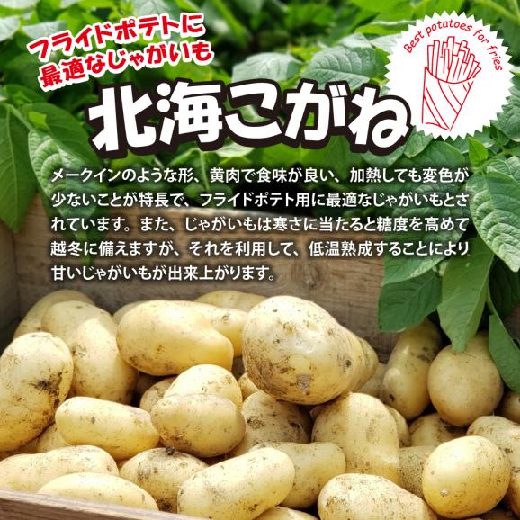 【隔月4回コース定期便】北海道十勝芽室町 十勝めむろ えだまめ2種+シューストリングポテト　me003-095-k4c03