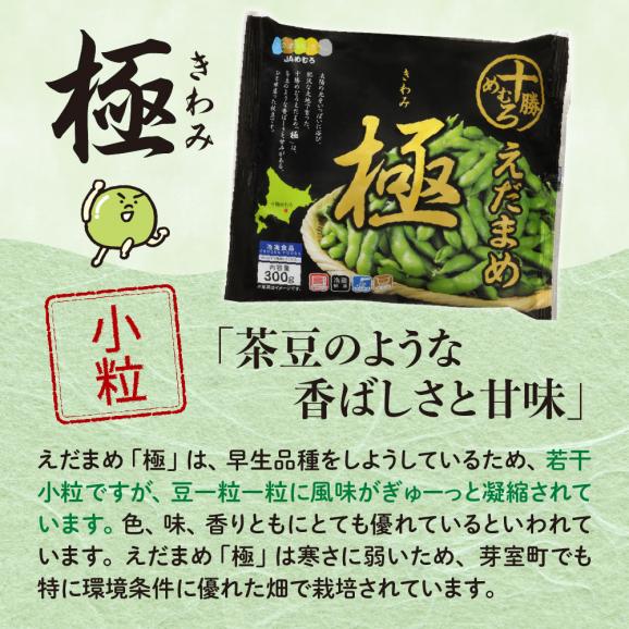 【隔月4回コース定期便】北海道十勝芽室町 十勝めむろ えだまめ2種+シューストリングポテト　me003-095-k4c04
