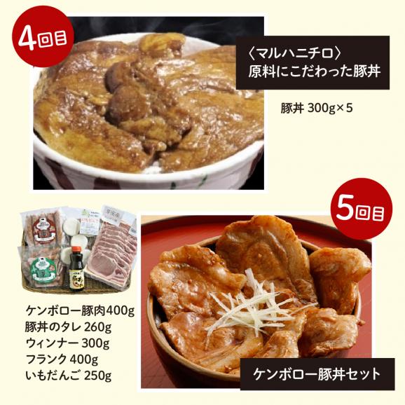 【全５回 定期便】北海道十勝芽室町 豚丼食べ比べ便 me000-015-t5c04