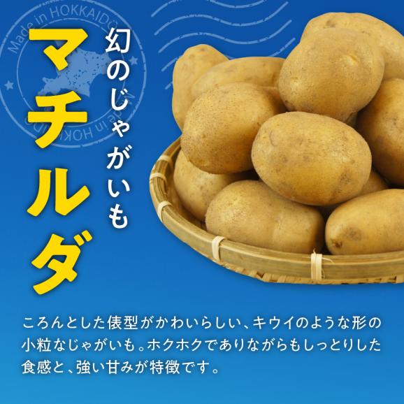 【先行受付】【2025年4月出荷分】十勝めむろ産 マチルダ Ｌサイズ10kg me010-013c-2402