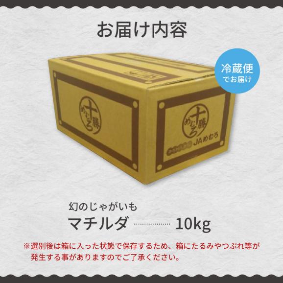 【先行受付】【2026年4月出荷分】十勝めむろ産 越冬 マチルダ Ｌサイズ10kg me010-013c-2506