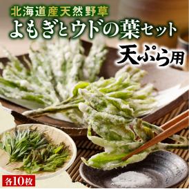 【ふるさと納税】【先行受付】【2025年5月発送】北海道十勝芽室町 天ぷら用 ヨモギとウドの葉セット me011-006c