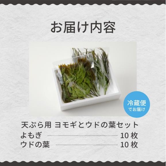【ふるさと納税】【先行受付】【2026年5月発送】北海道十勝芽室町 天ぷら用 ヨモギとウドの葉セット me011-006c05
