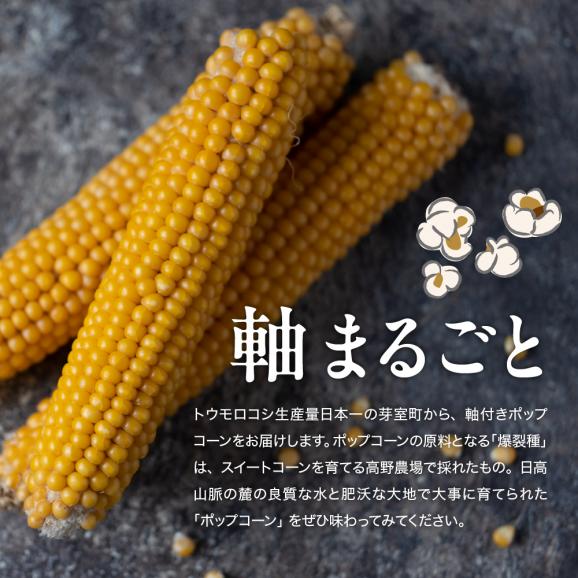 【ふるさと納税】手軽で美味しい！北海道十勝芽室町 ポップコーン イエロー30本 me066-003c02