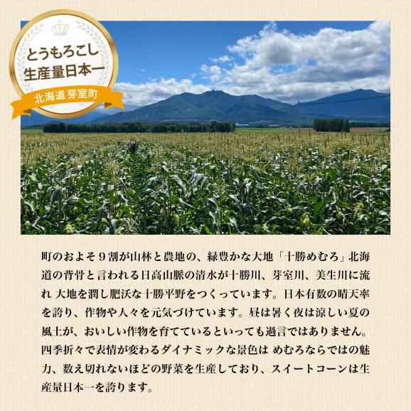 【ふるさと納税】手軽で美味しい！北海道十勝芽室町 ポップコーン イエロー30本 me066-003c05