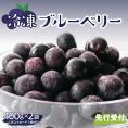 【ふるさと納税】【2025年分先行予約】北海道十勝芽室町　上美生のたからばこ　上美生の冷凍ブルーベリーとポストカードのセット　me029-003-24c