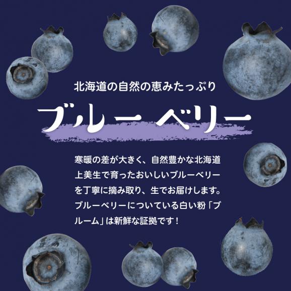 【ふるさと納税】【2025年分先行予約】北海道十勝芽室町　上美生のたからばこ　上美生の冷凍ブルーベリーとポストカードのセット　me029-003-24c02