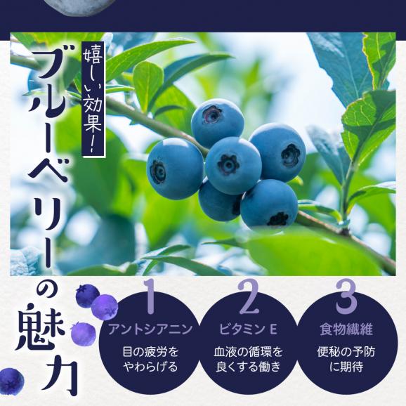 【ふるさと納税】【2025年分先行予約】北海道十勝芽室町　上美生のたからばこ　上美生の冷凍ブルーベリーとポストカードのセット　me029-003-24c03