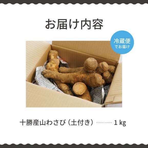 【ふるさと納税】北海道芽室町 十勝産山わさび（土付き1kg）me064-001c05