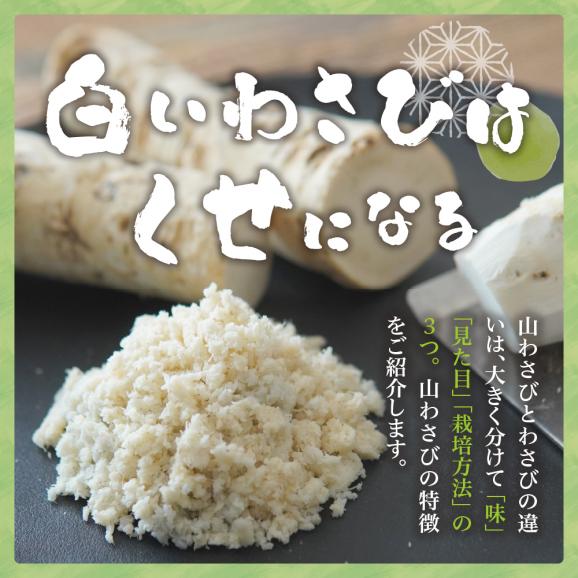 【ふるさと納税】北海道芽室町 十勝産山わさび（土付き3kg）me064-002c02