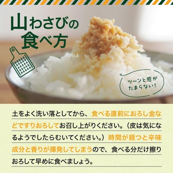 【ふるさと納税】北海道芽室町 十勝産山わさび（土付き3kg）me064-002c03