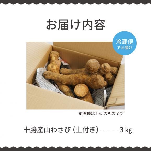 【ふるさと納税】北海道芽室町 十勝産山わさび（土付き3kg）me064-002c05