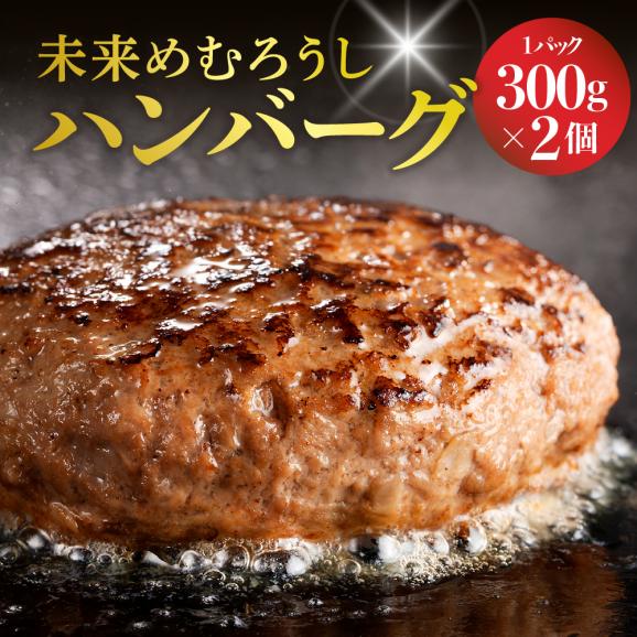 【ふるさと納税】北海道十勝芽室町 未来めむろうし100％ハンバーグ　300g×2パック me067-001c02