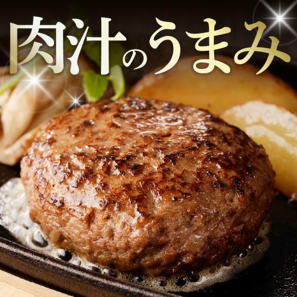 【ふるさと納税】北海道十勝芽室町 未来めむろうし100％ハンバーグ　300g×2パック me067-001c03