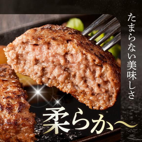 【ふるさと納税】北海道十勝芽室町 未来めむろうし100％ハンバーグ　300g×2パック me067-001c04